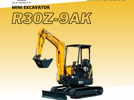 Hyundai R30Z-9AK